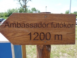 Ambassador-Club-Pecs-Ambassador-futokor-nevado-2016-06-18_017.JPG